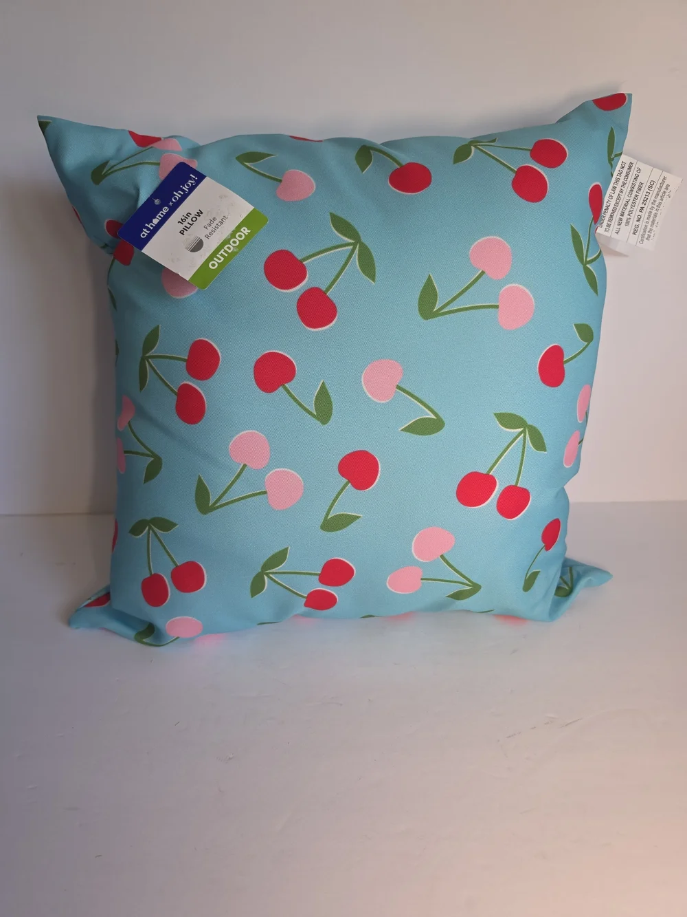 NWT Oh Joy! Cherry Print Outdoor Throw Pillow in Sky Blue Size 16